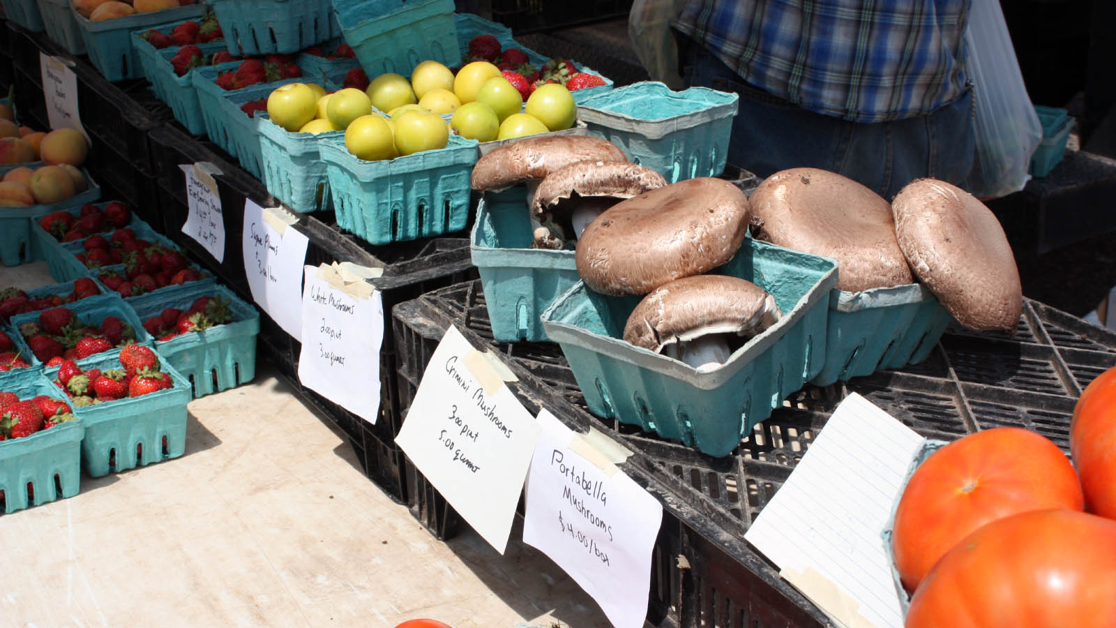 Farmers' market stand