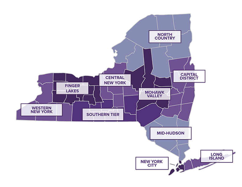 nys snap application